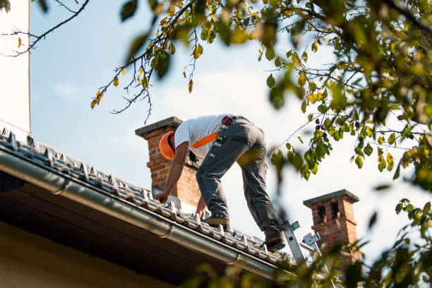 Best New Roof Installation  in Reedurban, OH