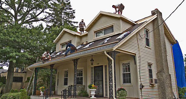 Best Roofing Contractor Near Me  in Reedurban, OH