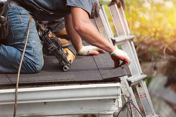 Best Roof Maintenance Services  in Reedurban, OH