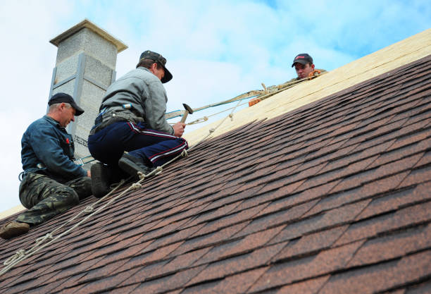 Best Flat Roof Repair Services  in Reedurban, OH