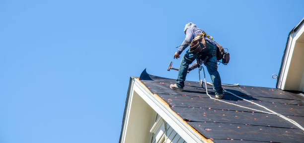 Best Roof Repair Services  in Reedurban, OH
